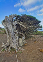 El Hierro