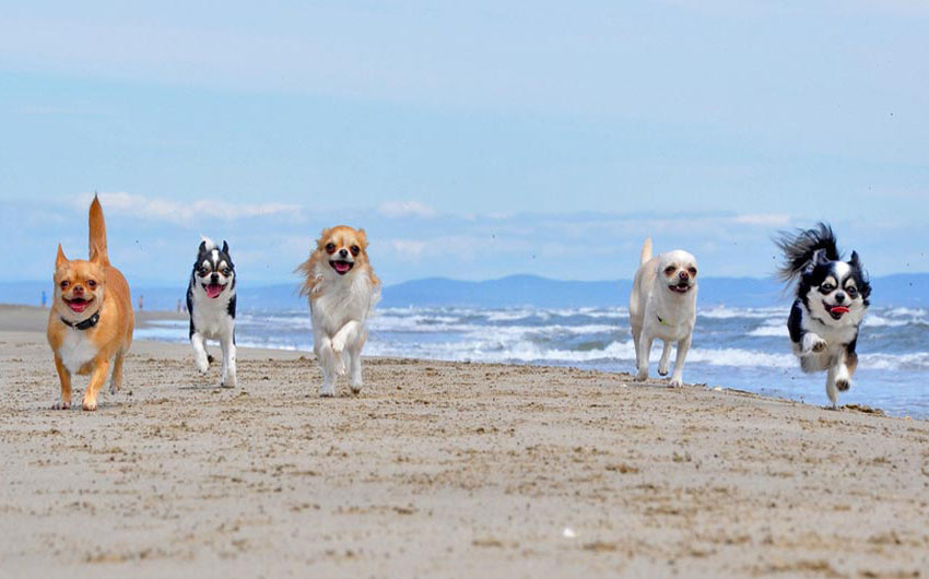 Spaß am Strand