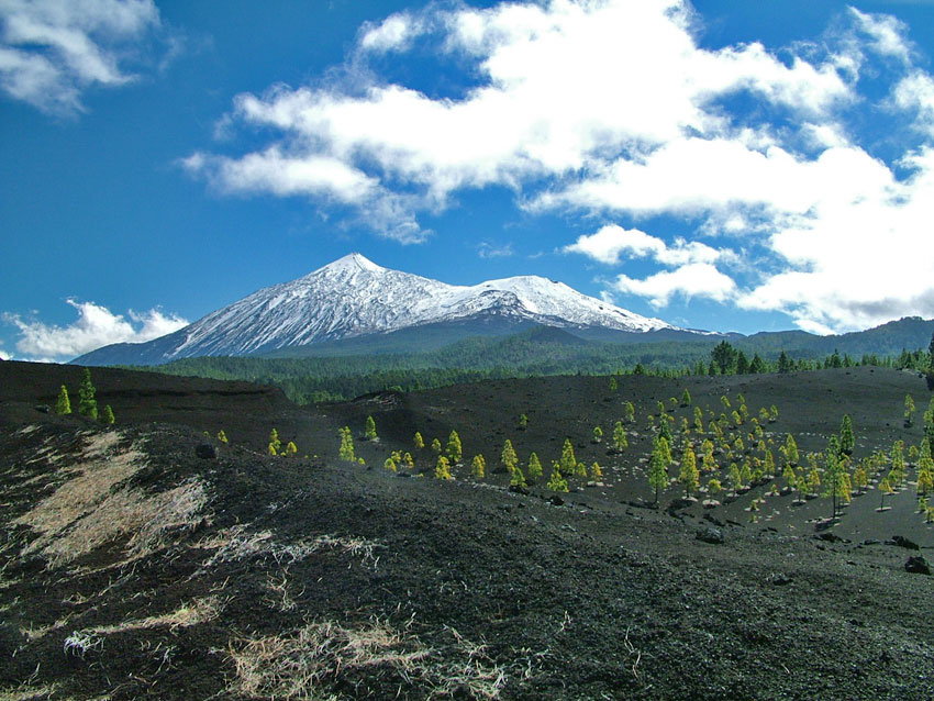 Teide im Schnee