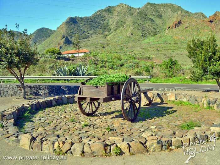 GrÃ¼ne Natur in El Palmar - Teneriffa