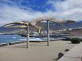 Walskelett - Playa Sibora