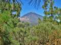 Teneriffa - Pico del Teide