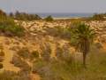 DÃ¼nen Maspalomas