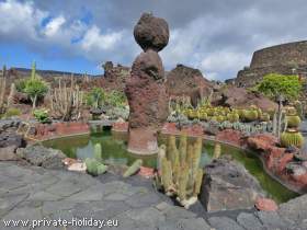 JardÃ­n de Cactus