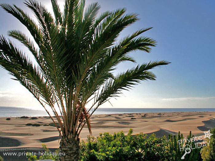 Ambiente