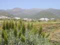 Ambiente