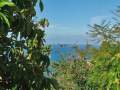Aussicht