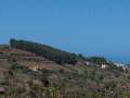 Aussicht