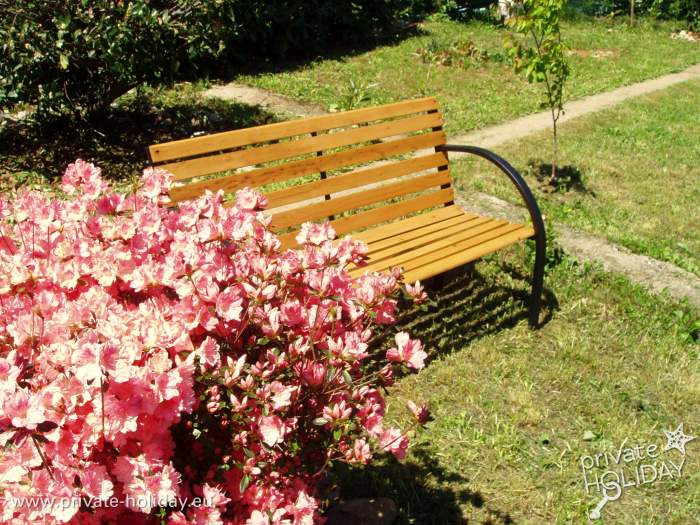 Garten