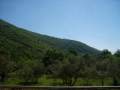Aussicht
