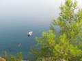 Aussicht