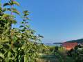 Aussicht