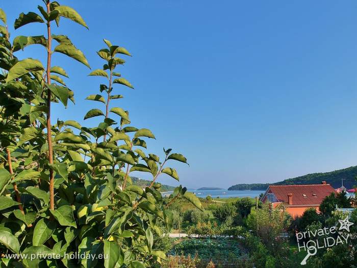 Aussicht