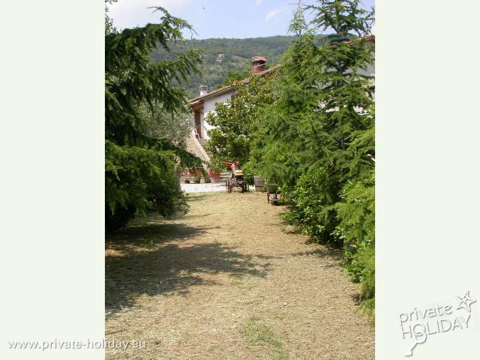 Garten