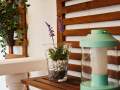Ambiente